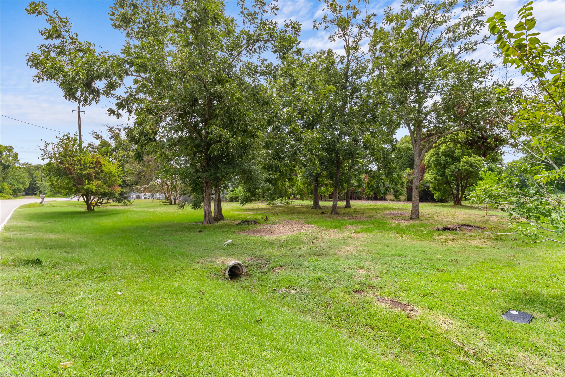 a view of yard with green space and trees