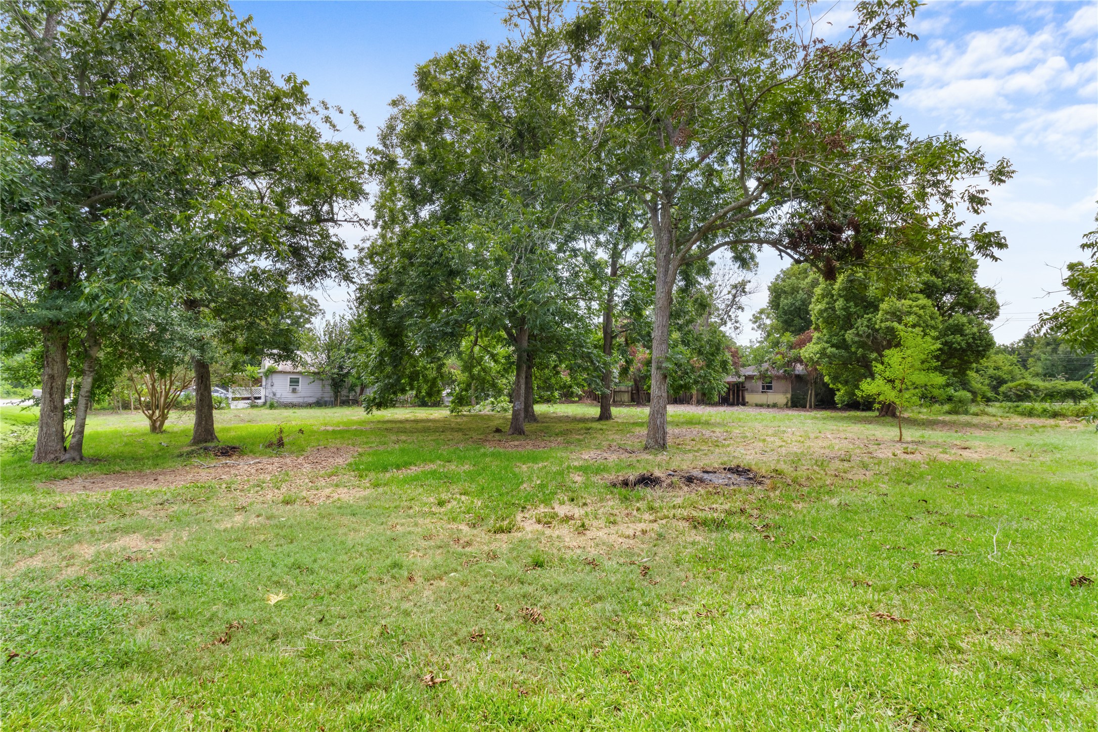0 Red Bluff Road Seabrook, TX 77586 - Photo 3 of 7 a view of field with trees