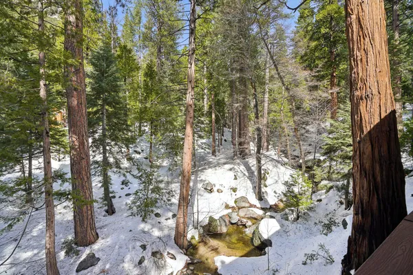 $634,999 | 24490 Upper Rim Rock Road, Idyllwild, CA 92549