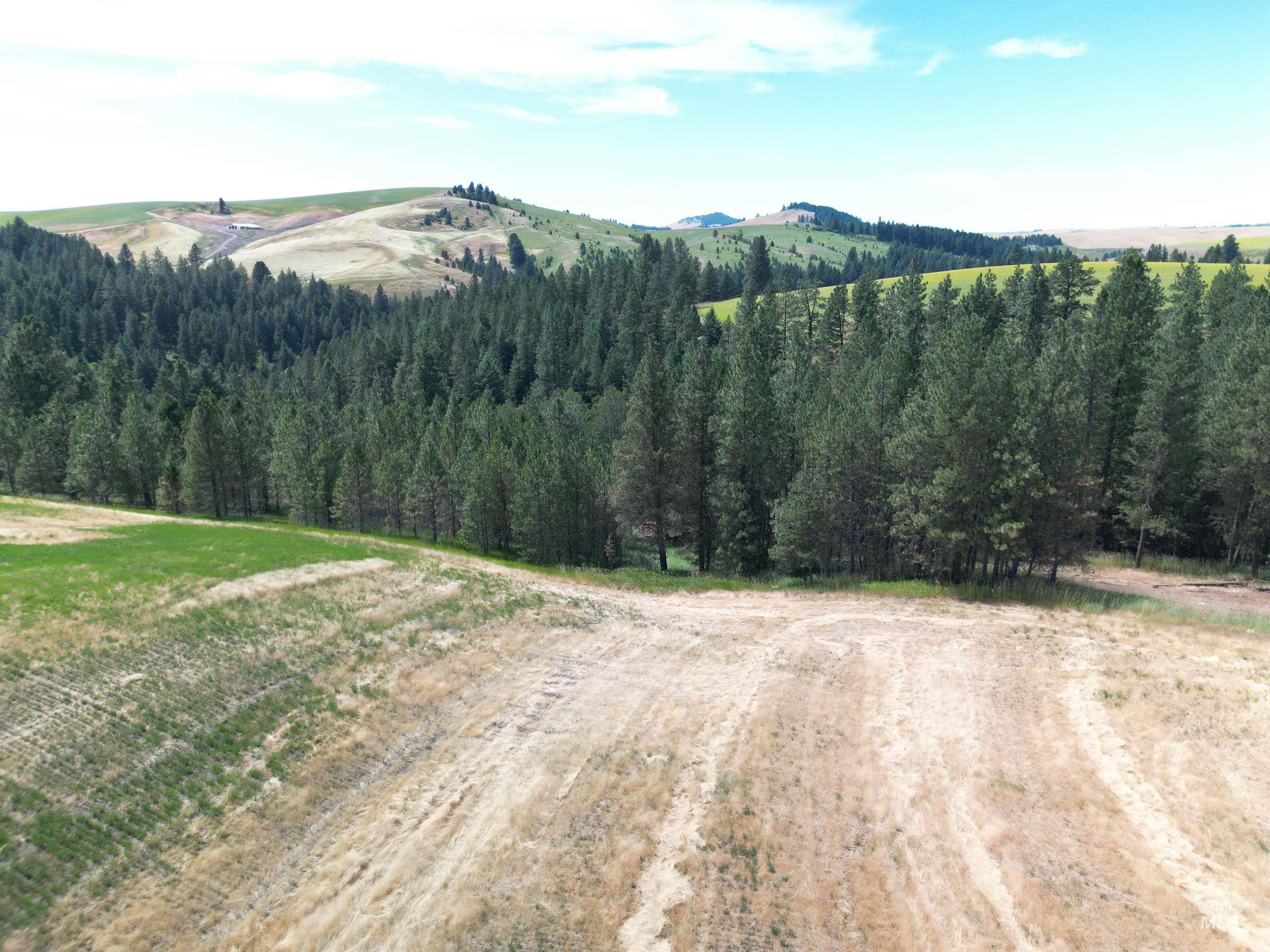 0 Parkins Road Troy, ID 83871 - Photo 8 of 33