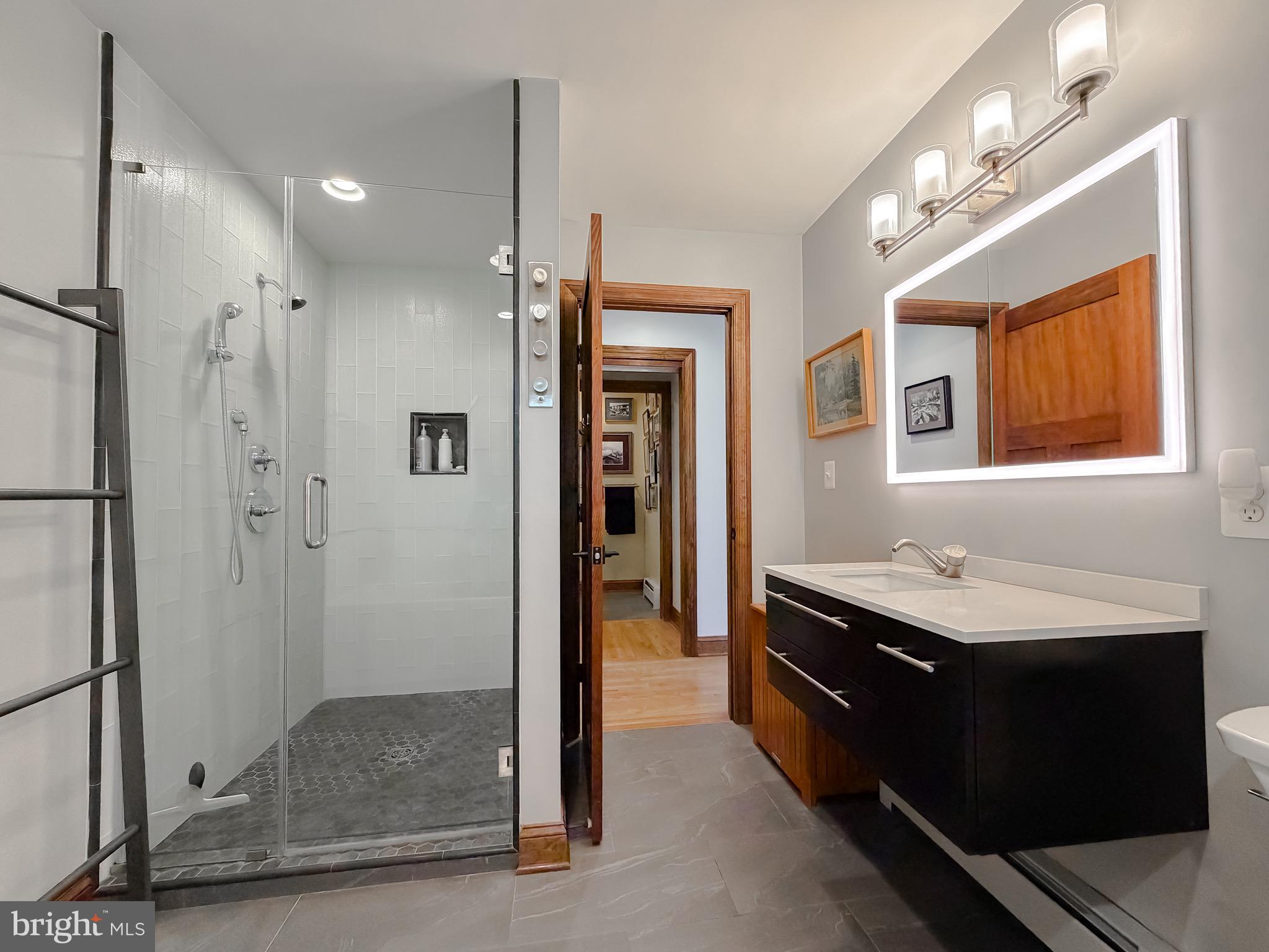 1586 Laurel Road St. Leonard, MD 20685 - Photo 38 of 73 Walk in shower