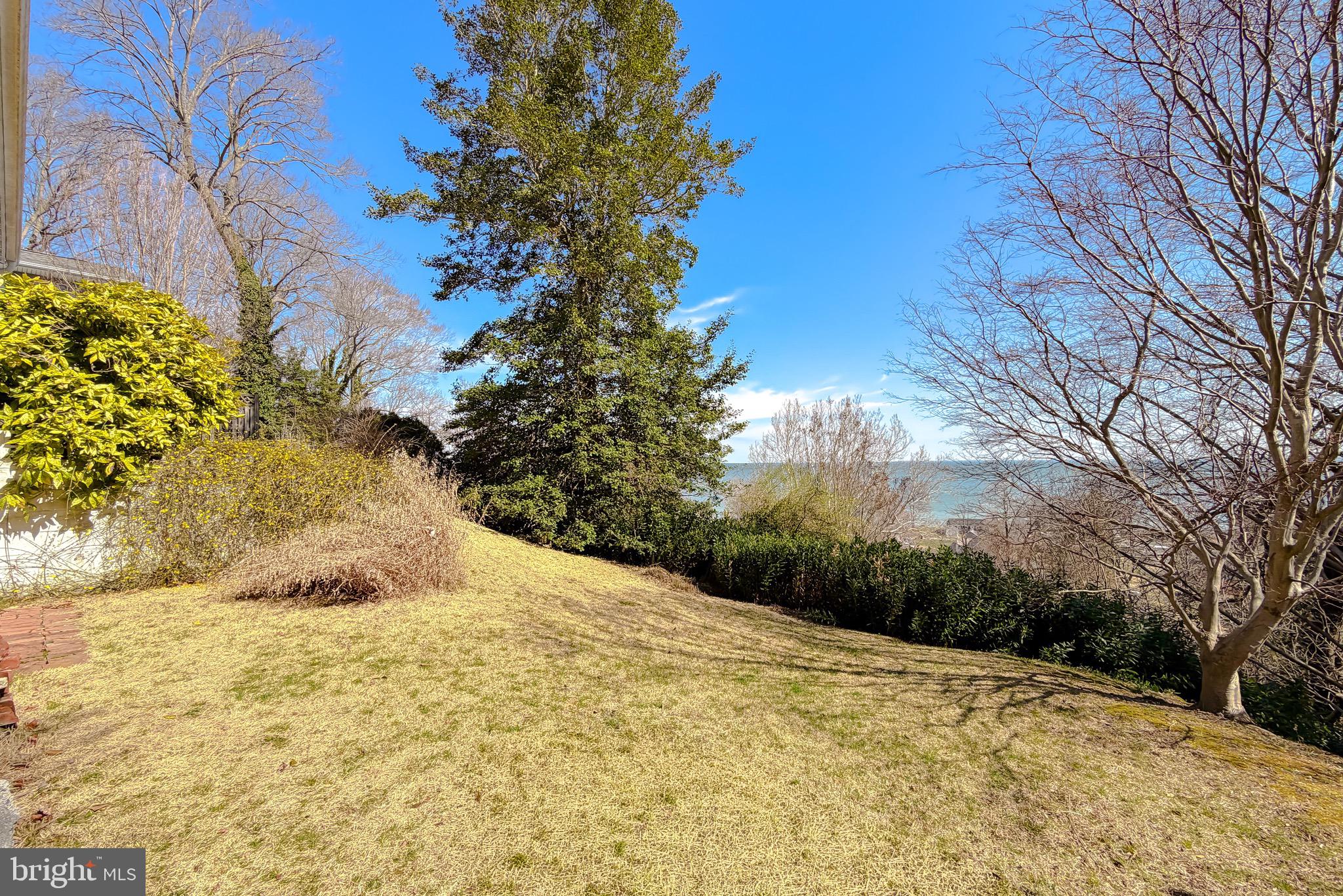 1586 Laurel Road St. Leonard, MD 20685 - Photo 59 of 73 Gently rolling lawn