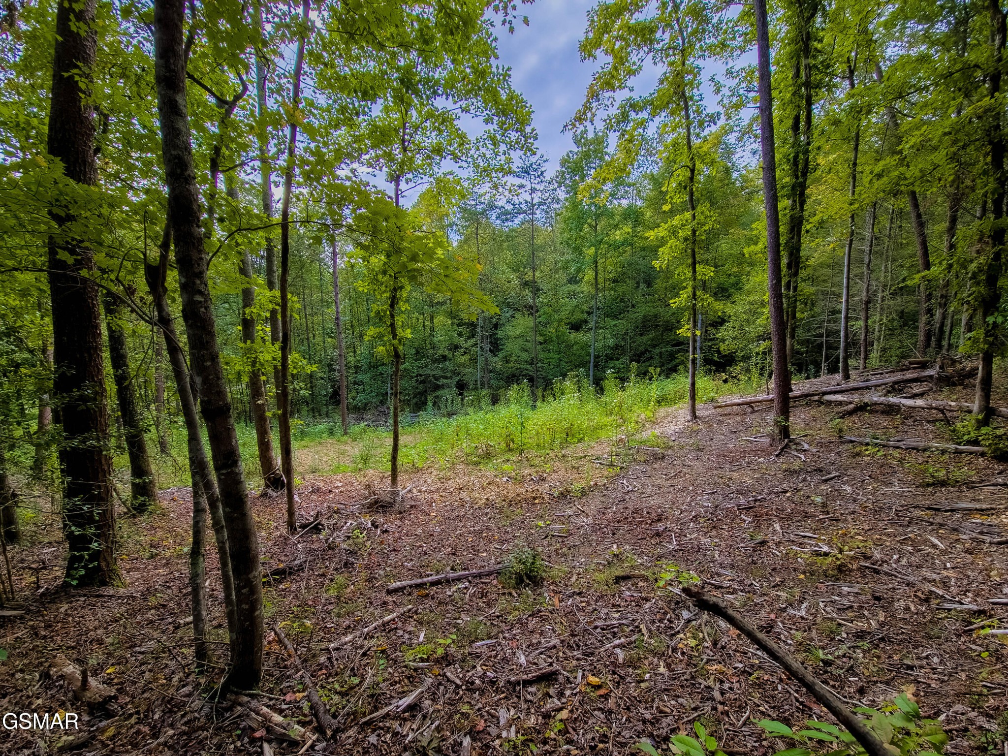47353739 Jones Cove Road Cosby, TN 37722 - Photo 3 of 12