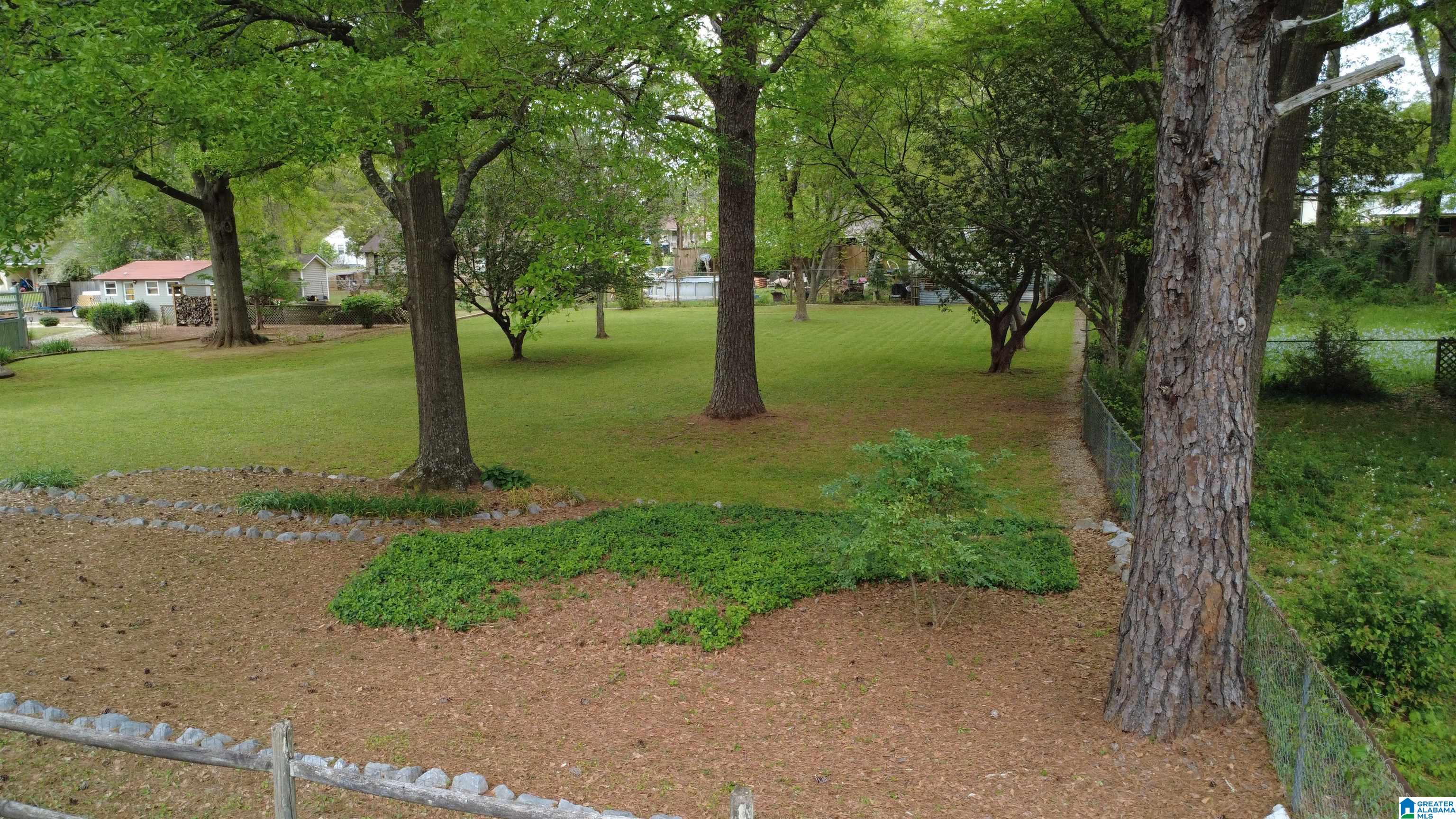 0 Strother Street Montevallo, AL 35115 - Photo 14 of 25