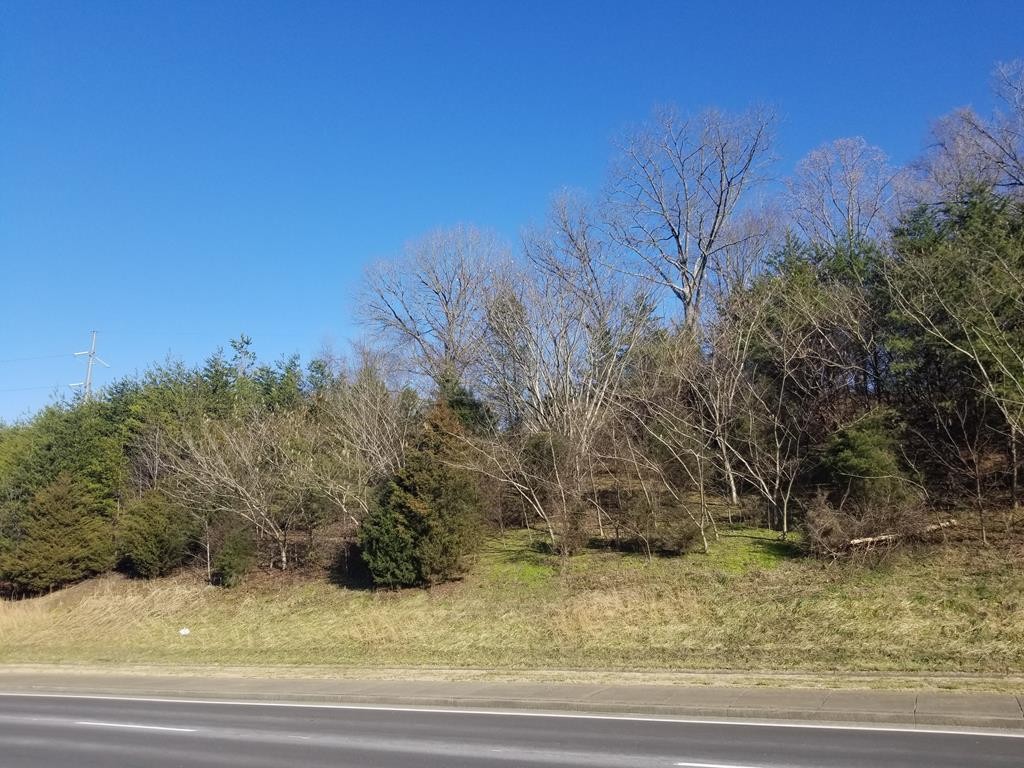 0 Center View Road Pigeon Forge, TN 37862 - Photo 5 of 19