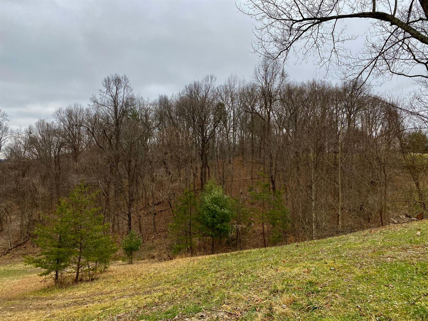 5500 Furnace Road Stanton, KY 40380 - Photo 12 of 12 Photo 12