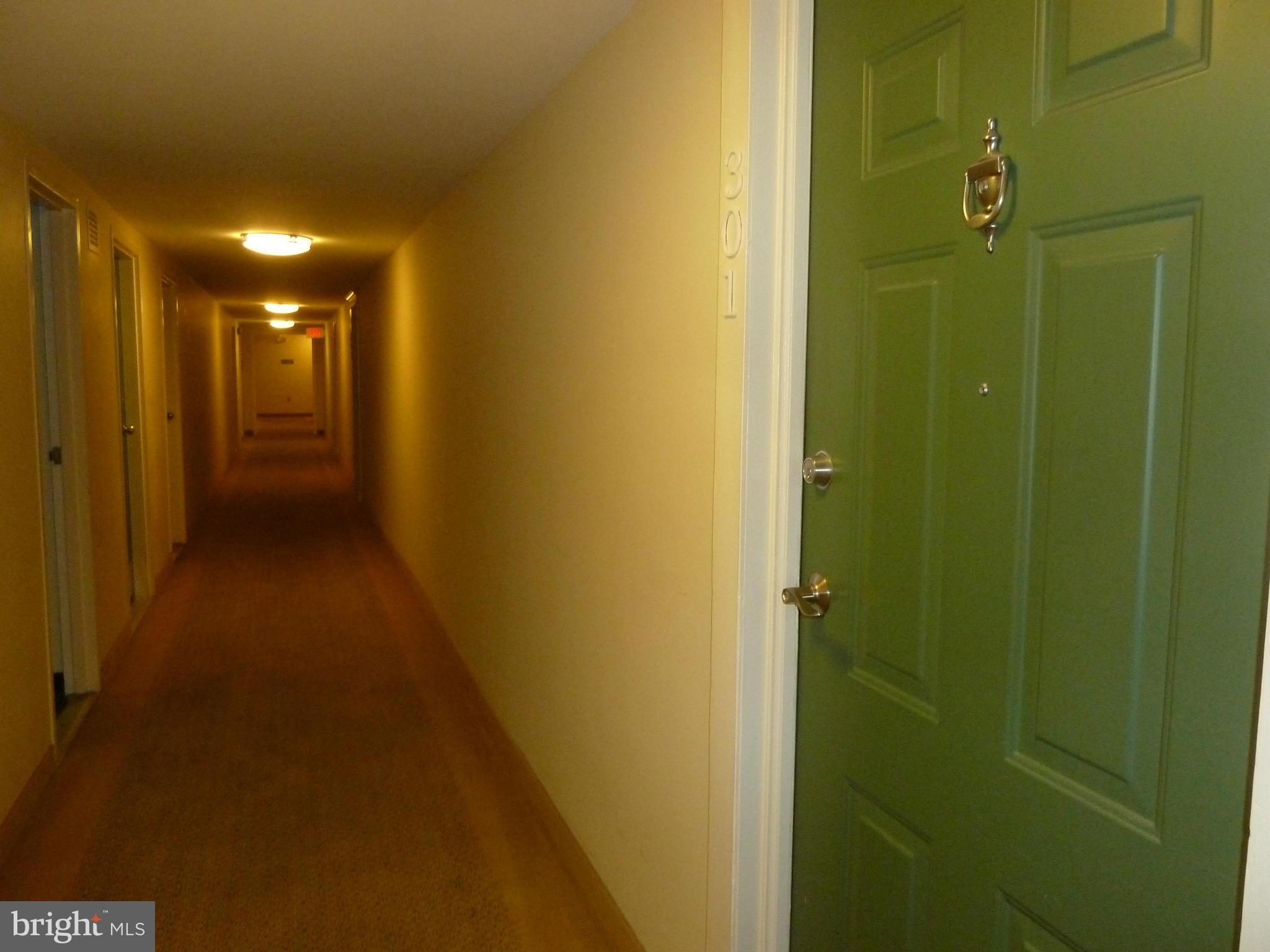3900 Tunlaw Road Northwest, Unit 610 Washington, DC 20007 - Photo 16 of 22 a view of hallway with shower