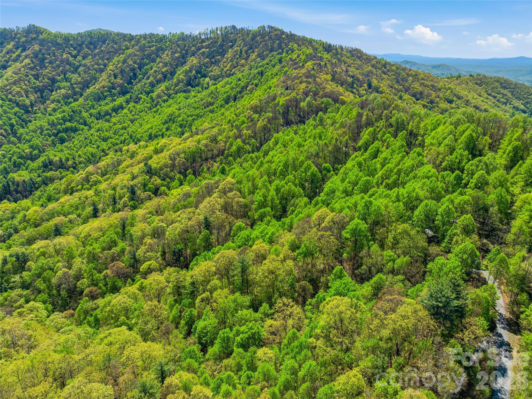 3167 Lump Town Road Marshall, NC 28753 - Photo 22 of 37