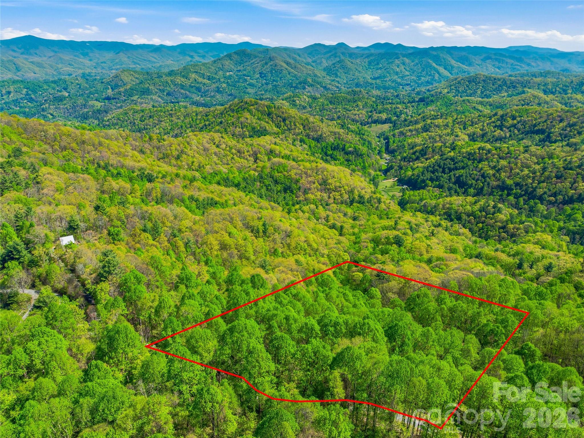3167 Lump Town Road Marshall, NC 28753 - Photo 31 of 37