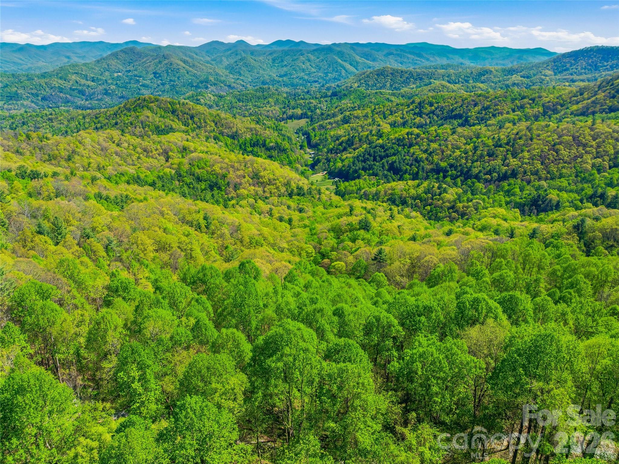 3167 Lump Town Road Marshall, NC 28753 - Photo 33 of 37