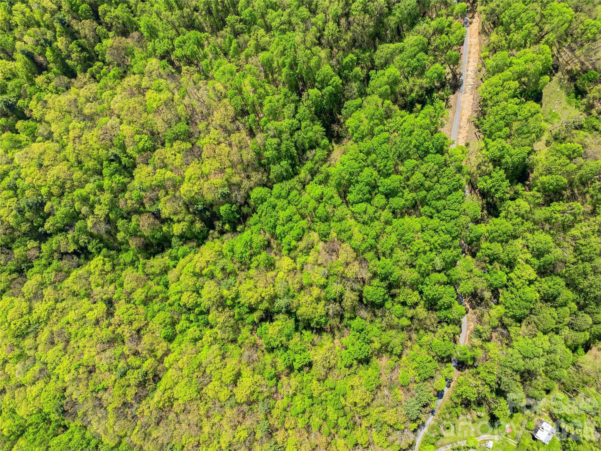 3167 Lump Town Road Marshall, NC 28753 - Photo 35 of 37