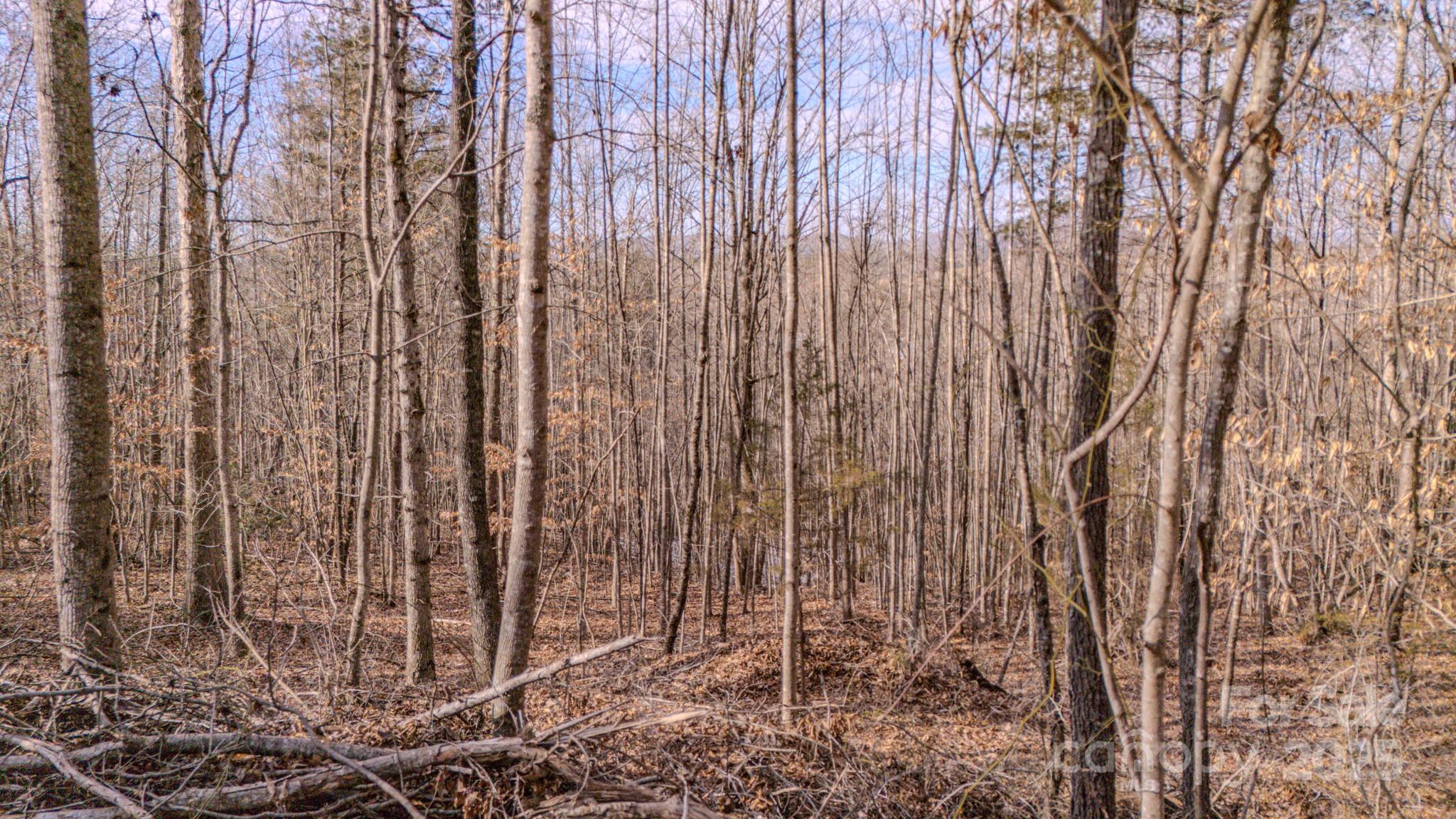 4906 Old Hickory Tree Road Morganton, NC 28655 - Photo 12 of 45 Gallery Image 12