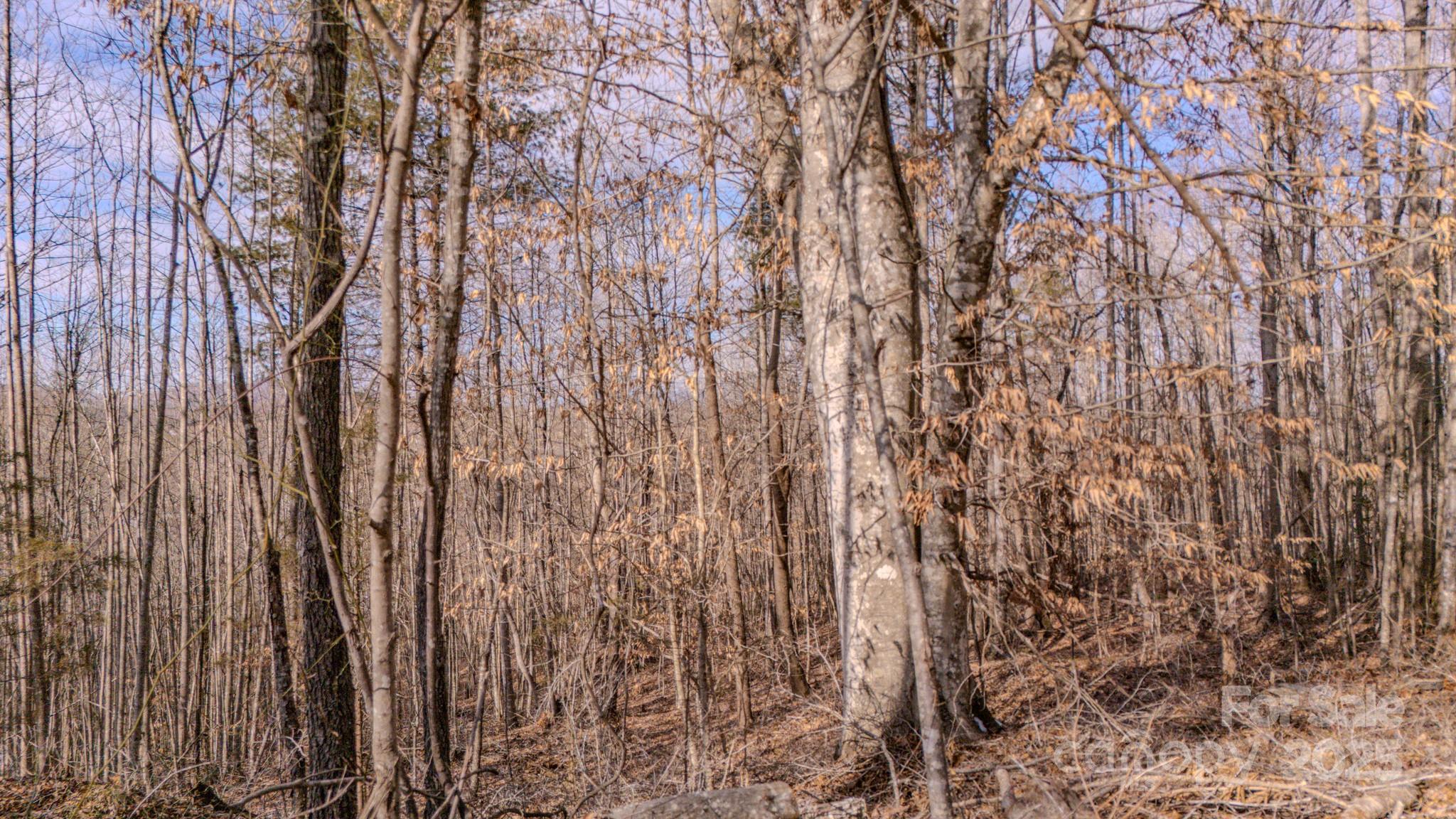 4906 Old Hickory Tree Road Morganton, NC 28655 - Photo 14 of 45 Gallery Image 14