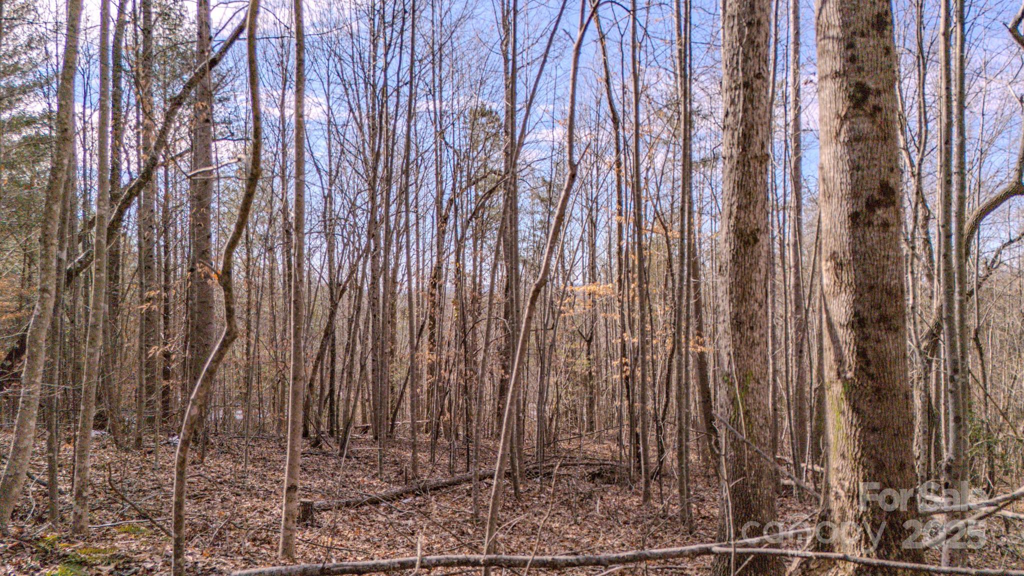 4906 Old Hickory Tree Road Morganton, NC 28655 - Photo 15 of 45 Gallery Image 15
