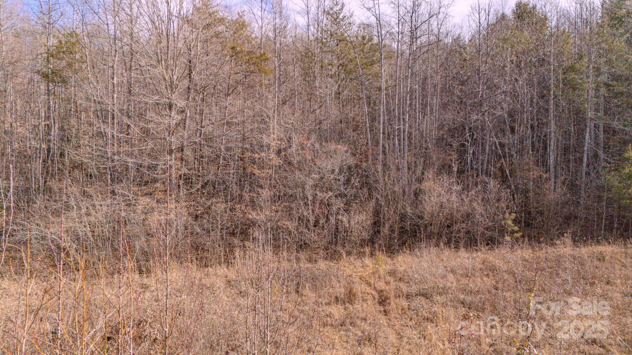 4906 Old Hickory Tree Road Morganton, NC 28655 - Photo 3 of 45 Gallery Image 3