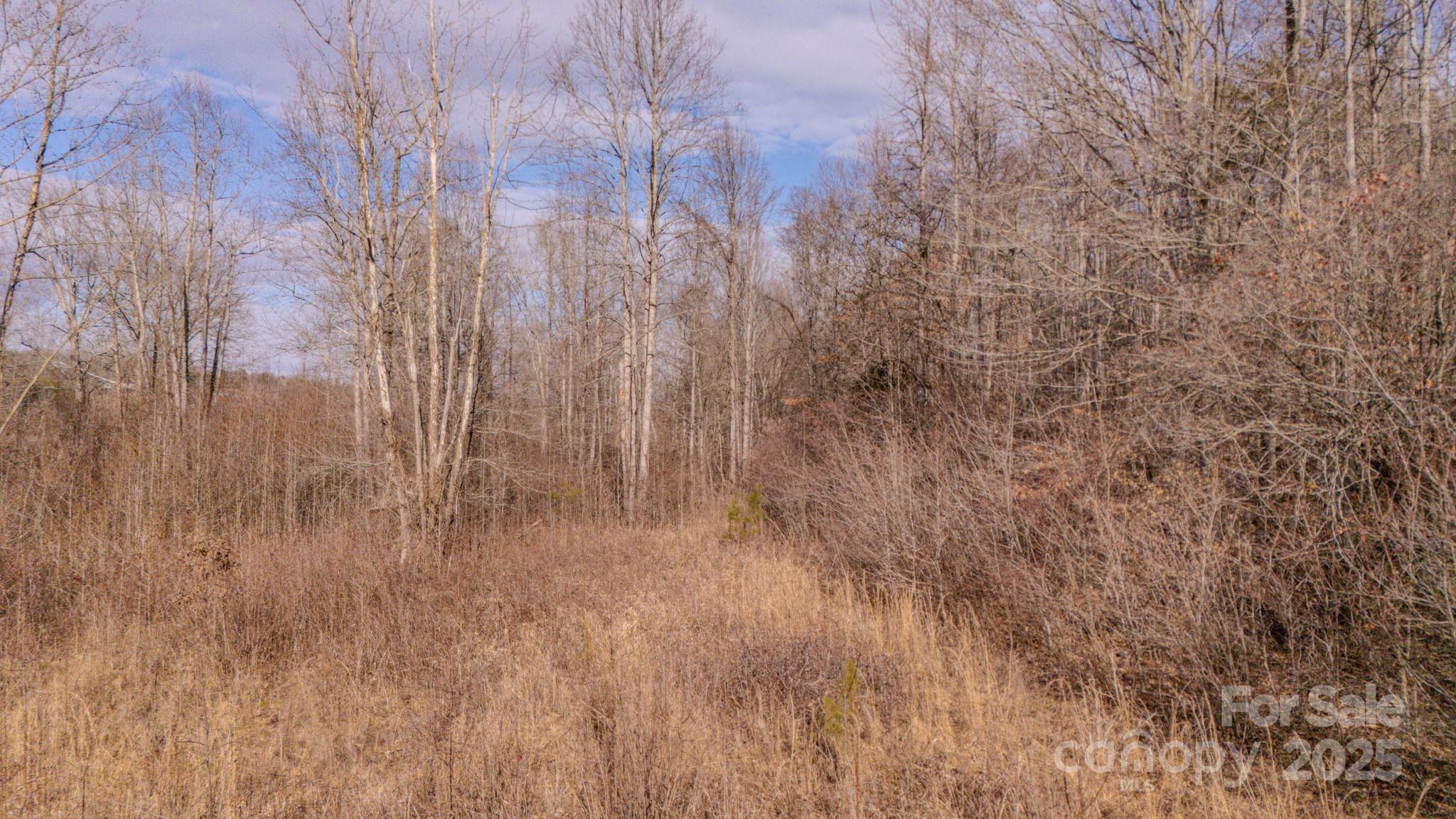4906 Old Hickory Tree Road Morganton, NC 28655 - Photo 4 of 45 Gallery Image 4
