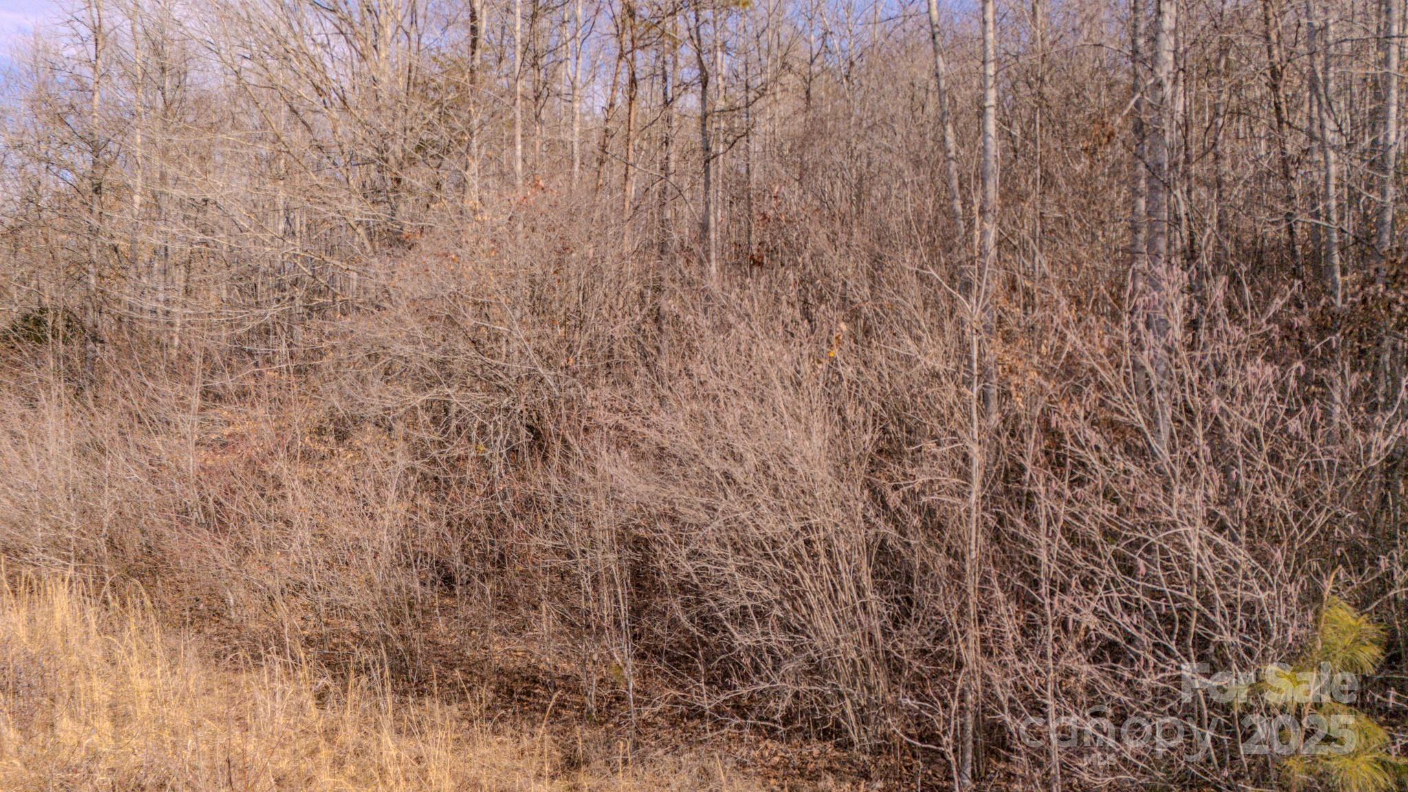 4906 Old Hickory Tree Road Morganton, NC 28655 - Photo 5 of 45 Gallery Image 5