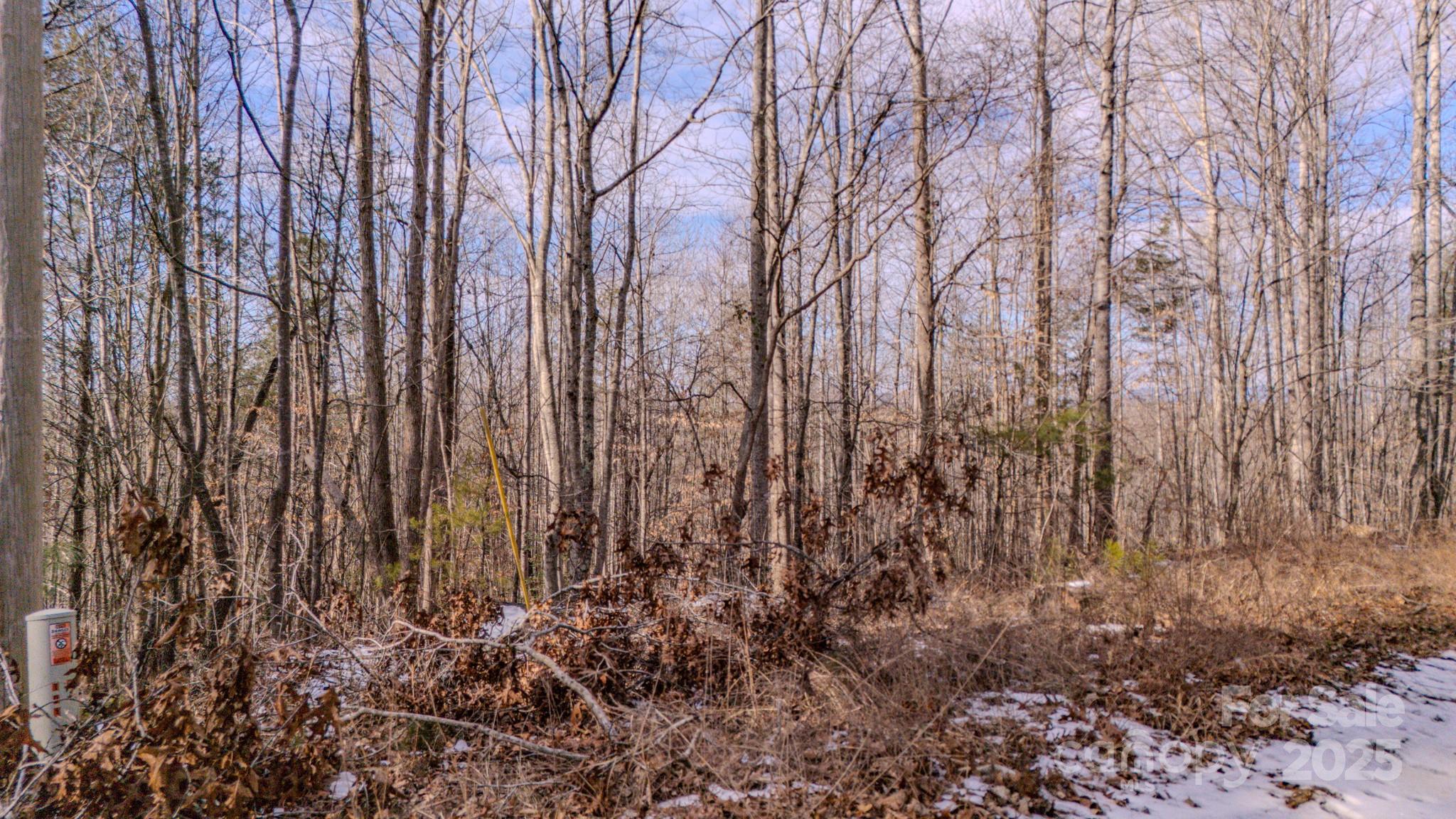 4906 Old Hickory Tree Road Morganton, NC 28655 - Photo 8 of 45 Gallery Image 8