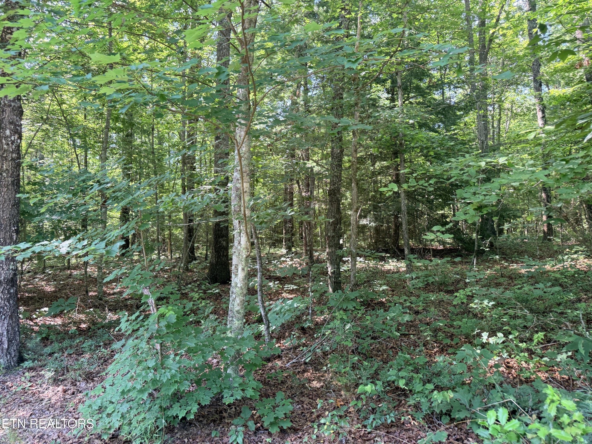 390 Georgee Road Jamestown, TN 38556 - Photo 1 of 14 Gallery Image 1