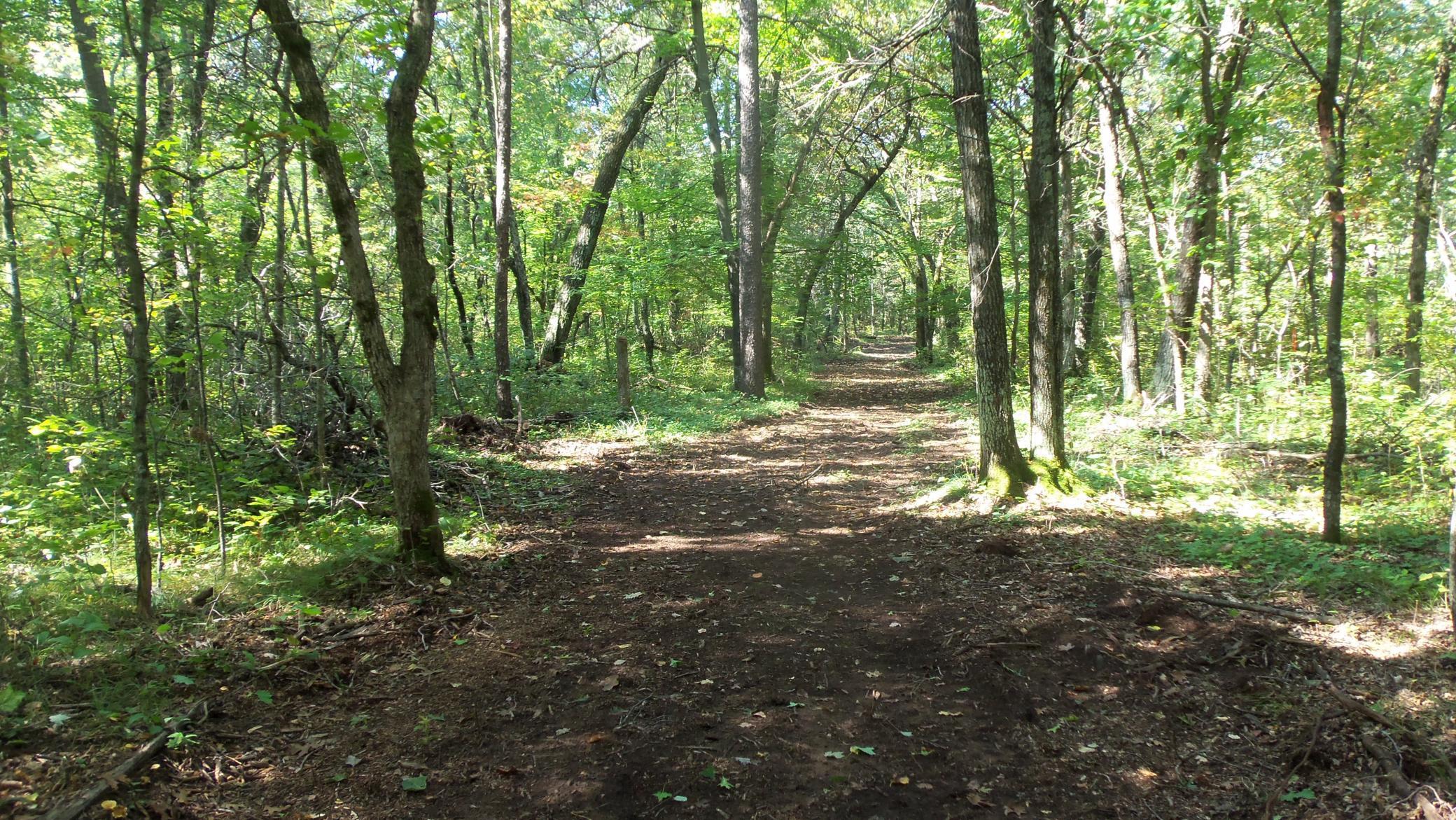 Lot 4 East River Road Grantsburg, WI 54840 - Photo 9 of 17