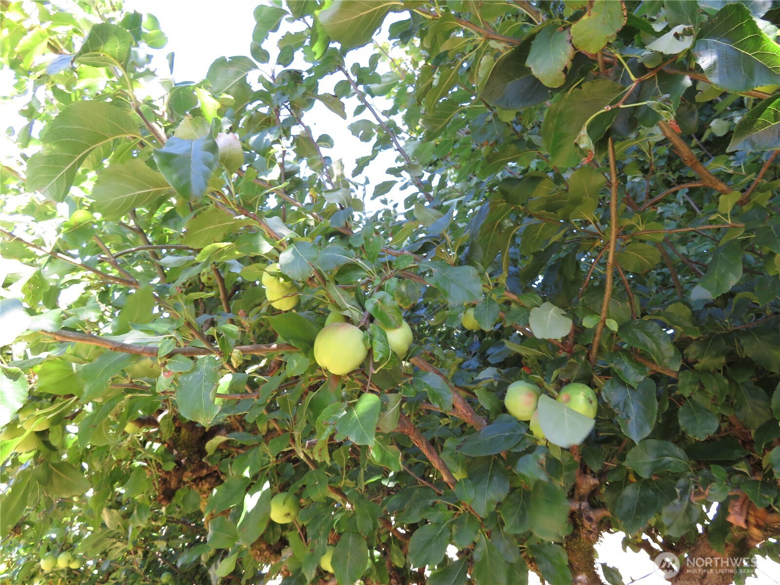 21 Wynoochee Valley Road Montesano, WA 98563 - Photo 37 of 38