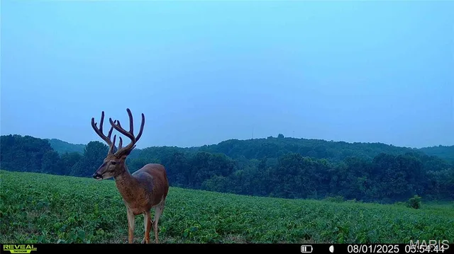 $7,000,000 | 21772 Hwy D, Eolia, MO 63344