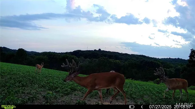 $7,000,000 | 21772 Hwy D, Eolia, MO 63344