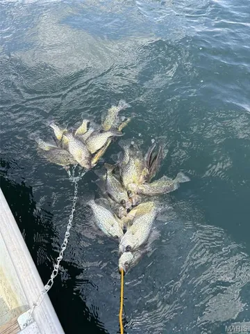 $7,000,000 | 21772 Hwy D, Eolia, MO 63344