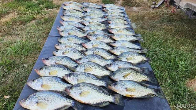 $7,000,000 | 21772 Hwy D, Eolia, MO 63344