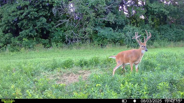 $7,000,000 | 21772 Hwy D, Eolia, MO 63344