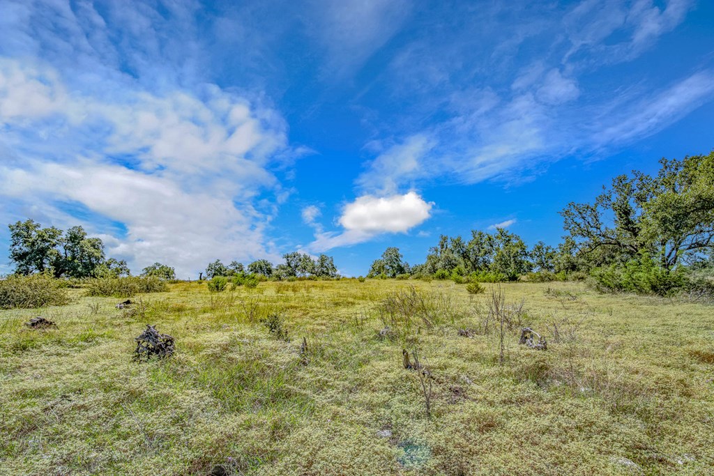 13 Bonita View Ranch Road Harper, TX 78631 - Photo 7 of 10