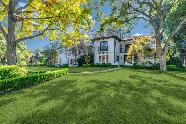a tall tree in middle of green field