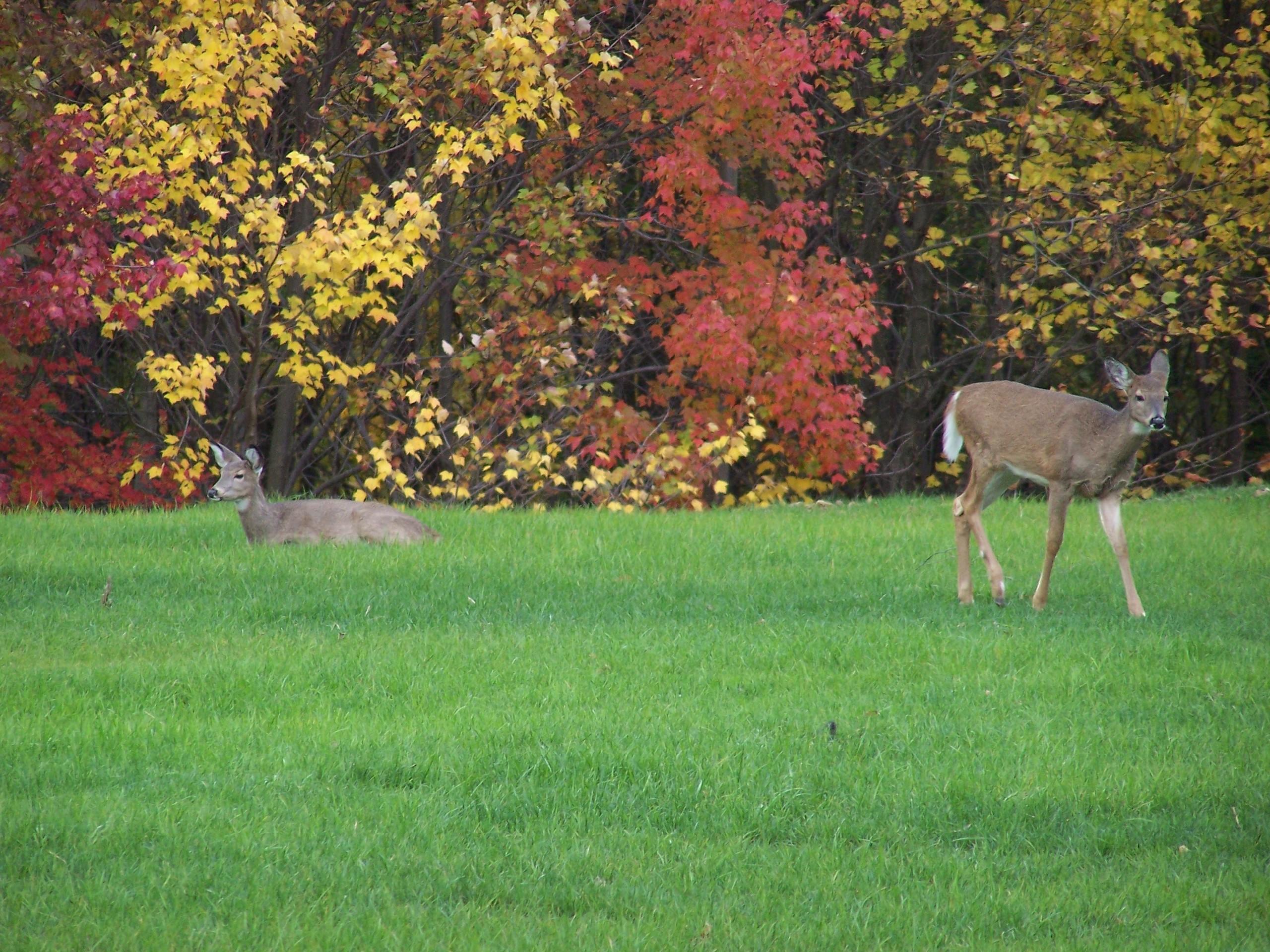 2131 Klondike Road Delaware, OH 43015 - Photo 25 of 57 Gallery Image 25