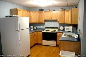 4946 Port Austin Road Caseville, MI 48725 - Photo 18 of 21 4946PARdKitDown.jpg