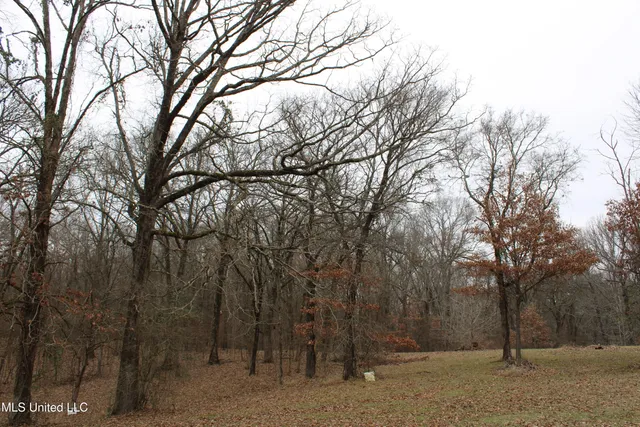 $159,000 | 5899 Crawford Road, Hernando, MS 38632