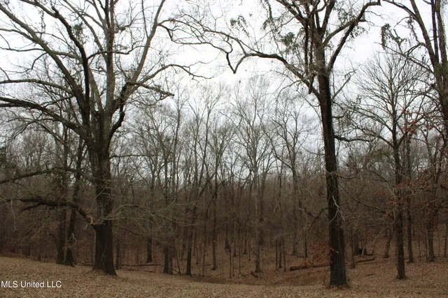 $159,000 | 5899 Crawford Road, Hernando, MS 38632