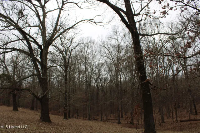 $159,000 | 5899 Crawford Road, Hernando, MS 38632