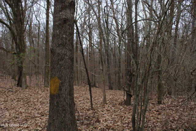 $159,000 | 5899 Crawford Road, Hernando, MS 38632