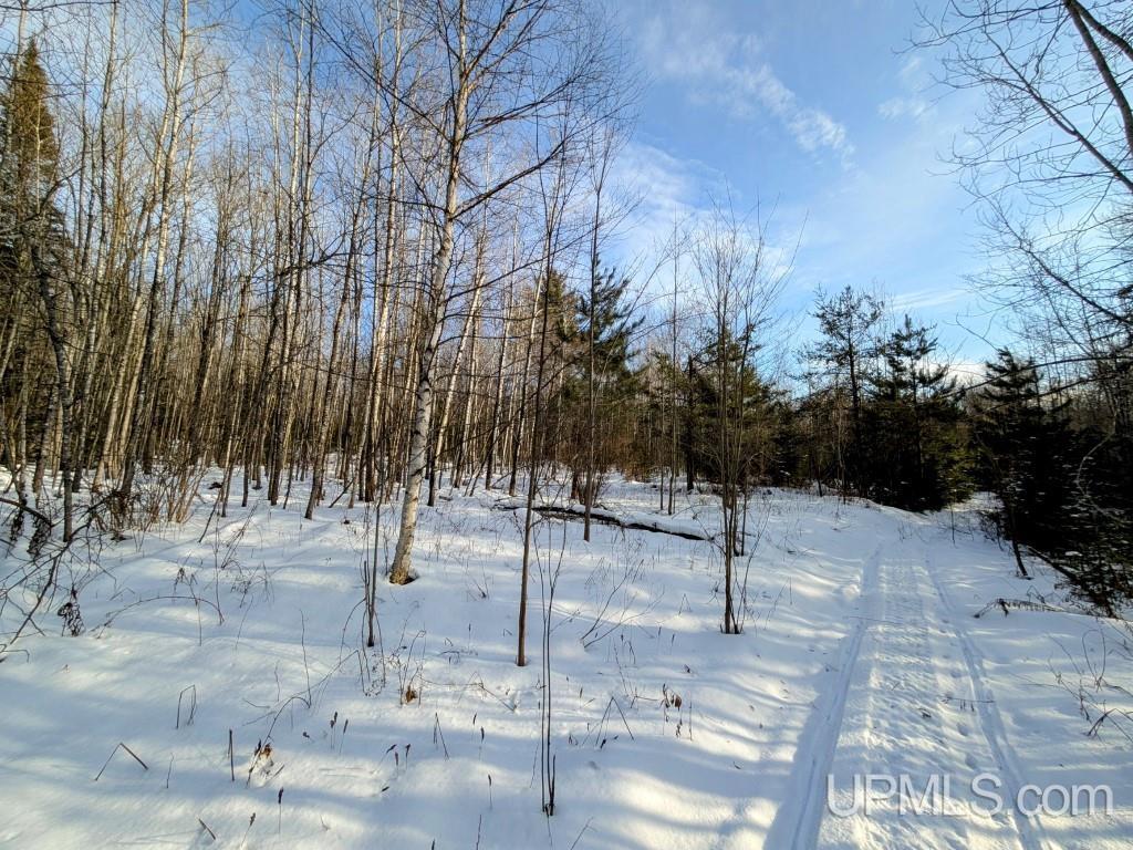 4500 Rd Watersmeet Mi 49969 Road Trout Creek, MI 49967 - Photo 10 of 17