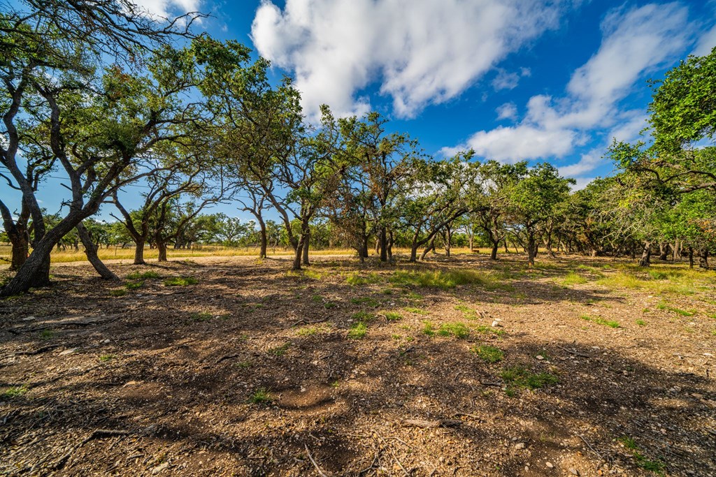 Lot 29 Reservation Road, Unit 29 Harper, TX 78631 - Photo 2 of 5 Gallery Image 2