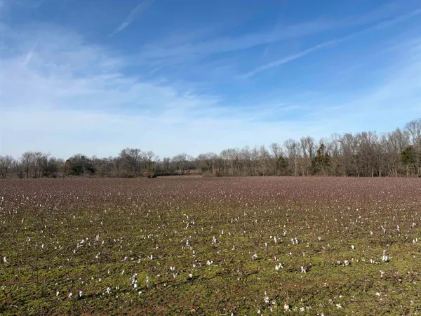 $799,000 | 353 Cotton Grove Road, Jackson, TN 38305