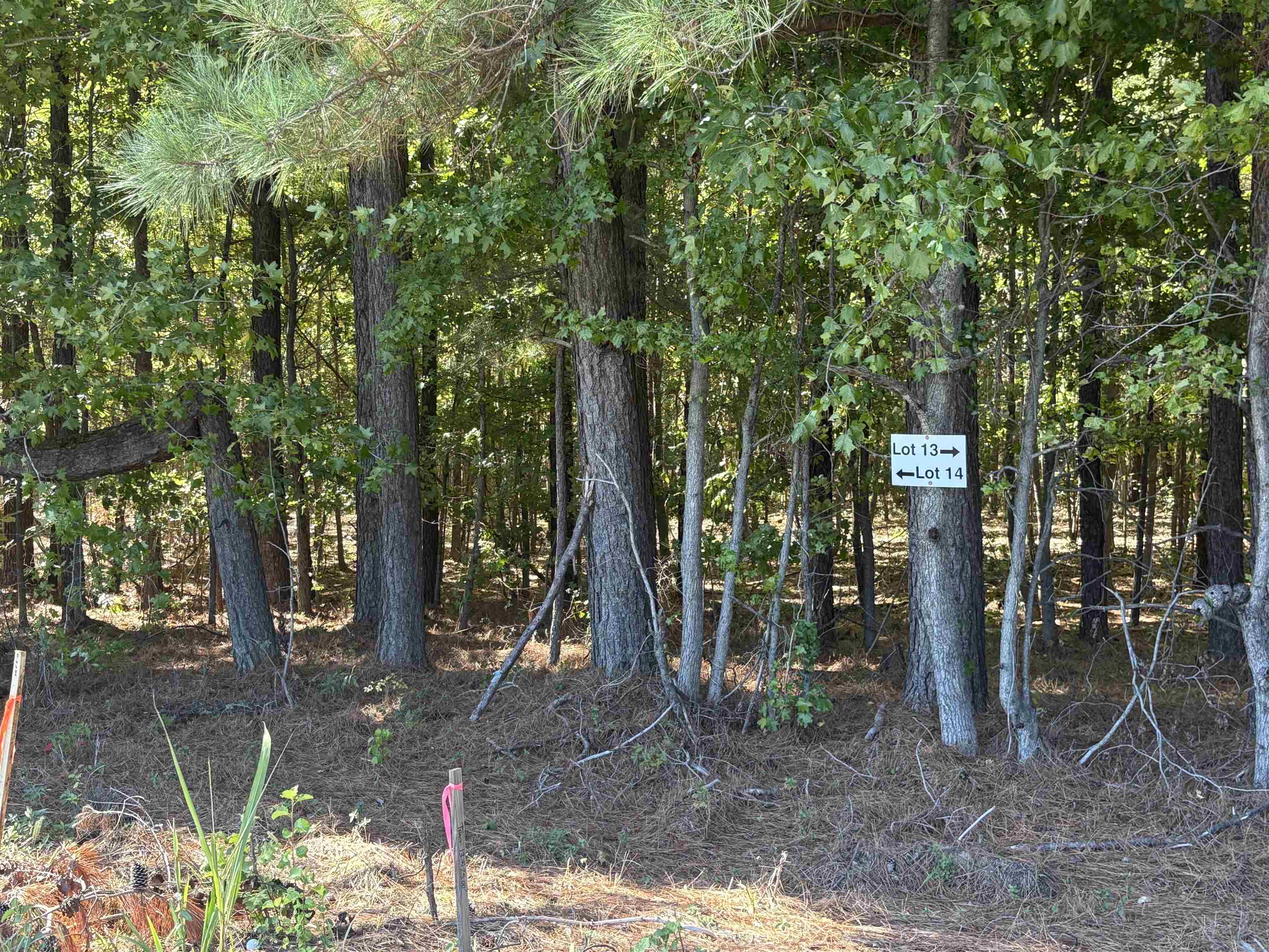 0 Bethuel Road, Unit LOT 14 Millington, TN 38053 - Photo 3 of 11 a view of a park with large trees