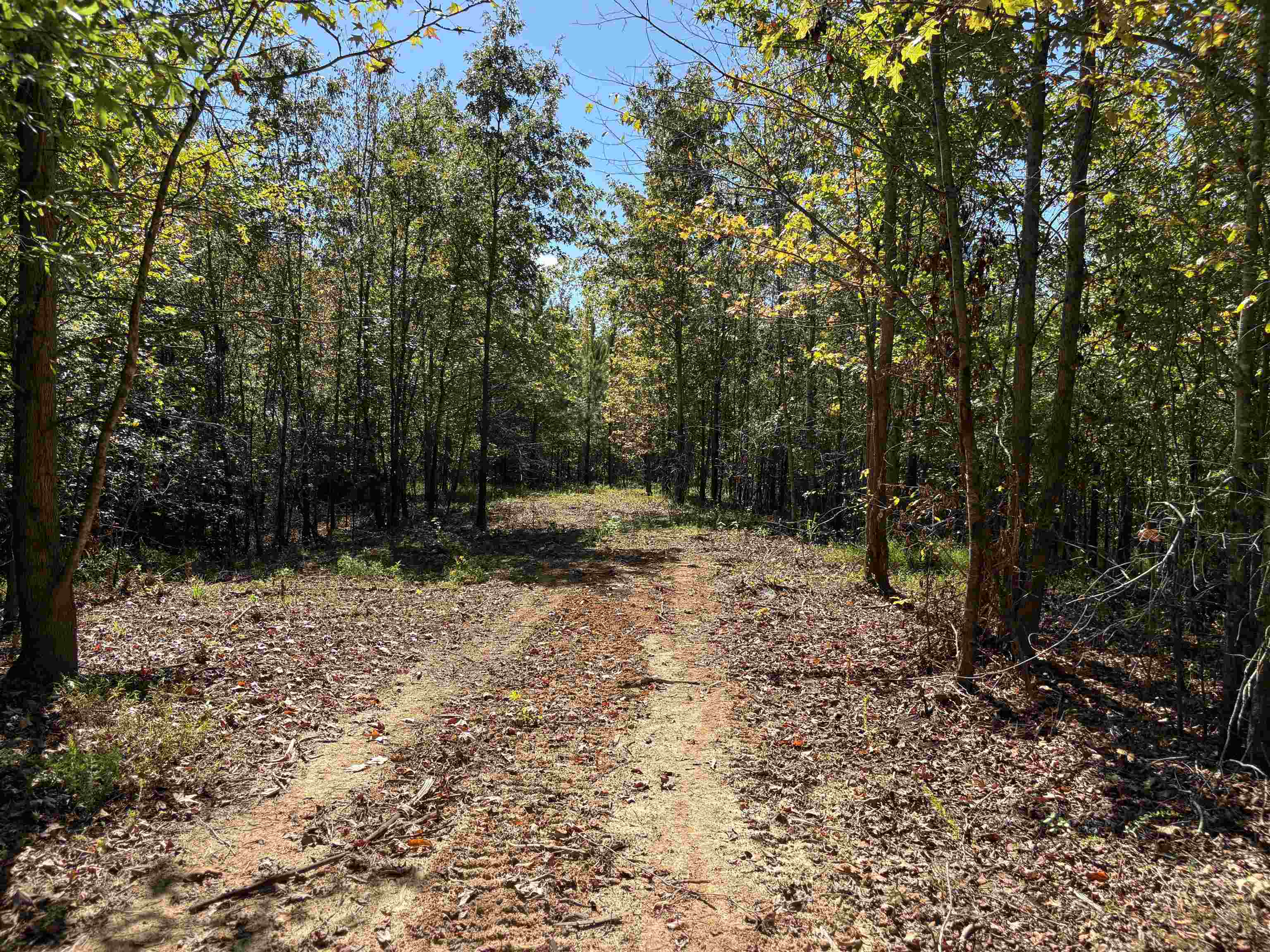 0 Bethuel Road, Unit LOT 14 Millington, TN 38053 - Photo 4 of 11 a view of outdoor space with trees