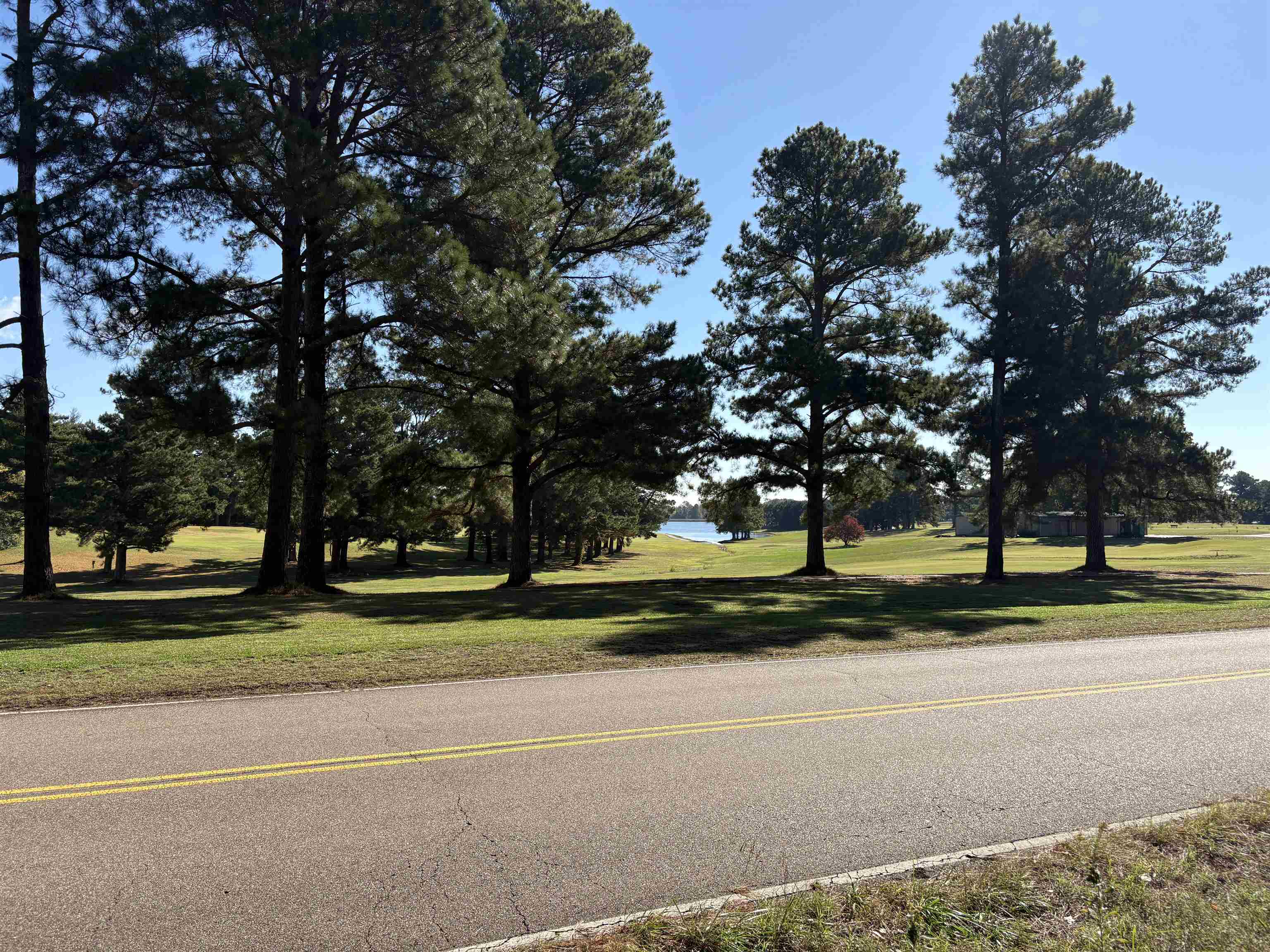 0 Bethuel Road, Unit LOT 14 Millington, TN 38053 - Photo 5 of 11 a view of a park