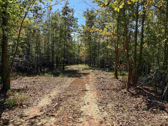 a view of outdoor space with trees