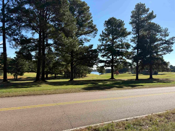 a view of a park