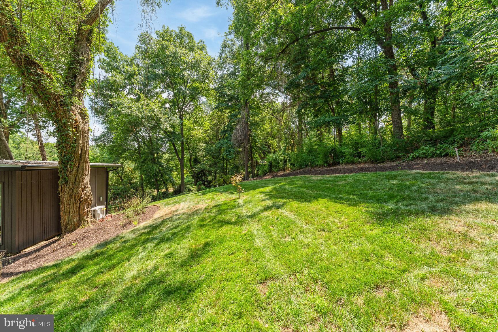 7318 Rippon Road Alexandria, VA 22307 - Photo 51 of 57