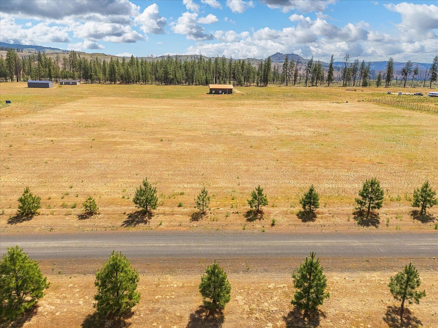 39754 Katy Lane North Davenport, WA 99122 - Photo 4 of 35