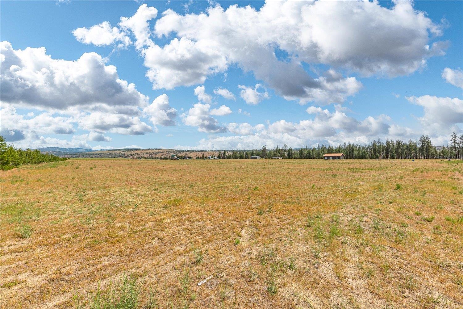 39754 Katy Lane North Davenport, WA 99122 - Photo 8 of 35