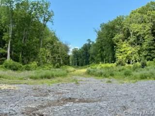 2 Chelsea Road Wappingers Falls, NY 12590 - Photo 6 of 12 a view of a yard with a tree